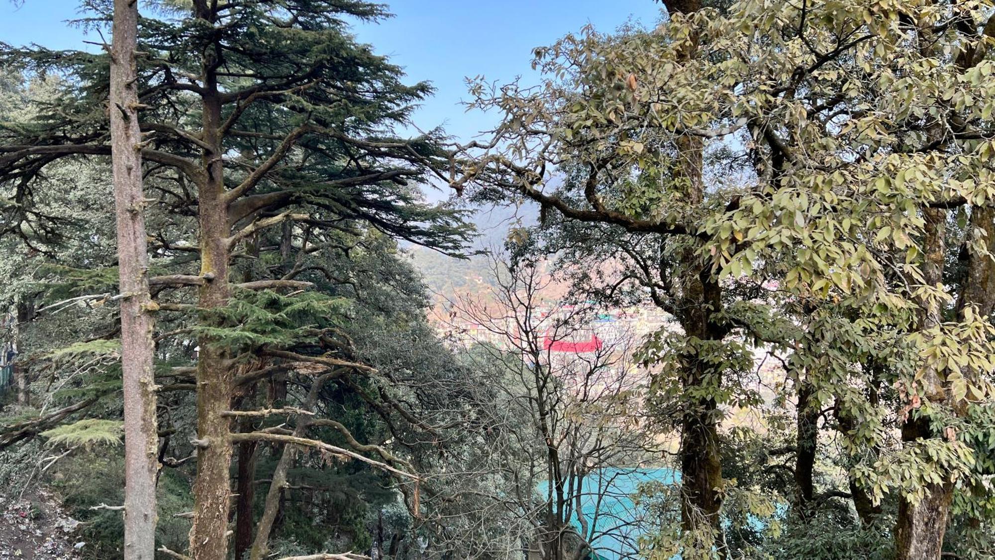 Hotel Pride Inn - 800 Mts From Mall Road Mussoorie Εξωτερικό φωτογραφία