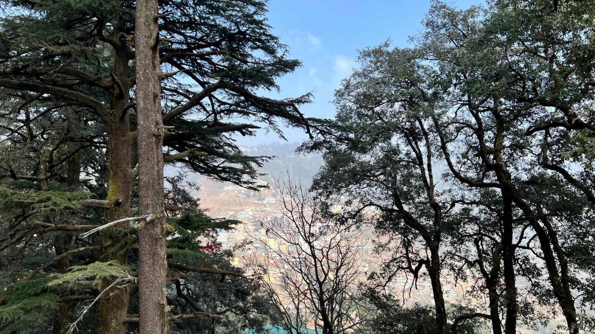 Hotel Pride Inn - 800 Mts From Mall Road Mussoorie Εξωτερικό φωτογραφία